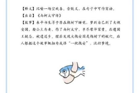 根据什么安什么命，探讨成语的智慧与哲理