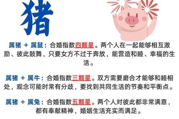 猪年腊月十六的命运解析：揭秘属猪之人的命运之路