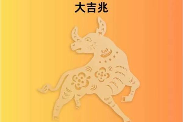 1964年属牛的命运解析与人生观念
