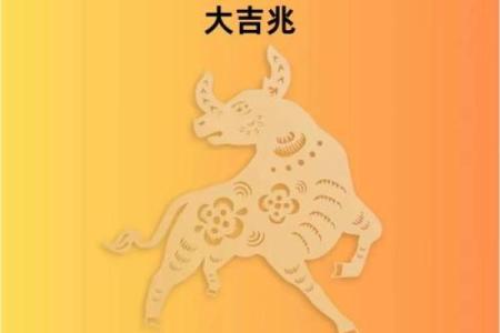 1964年属牛的命运解析与人生观念