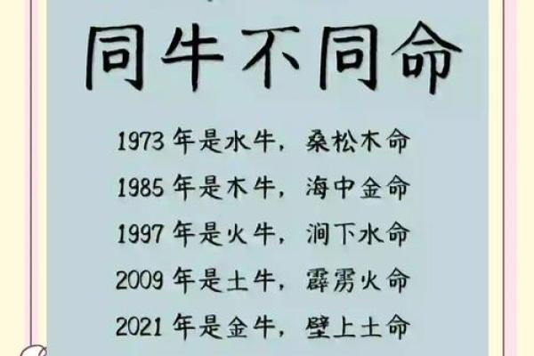 1997年牛年命运揭秘：性格、属性与生活的完美契合