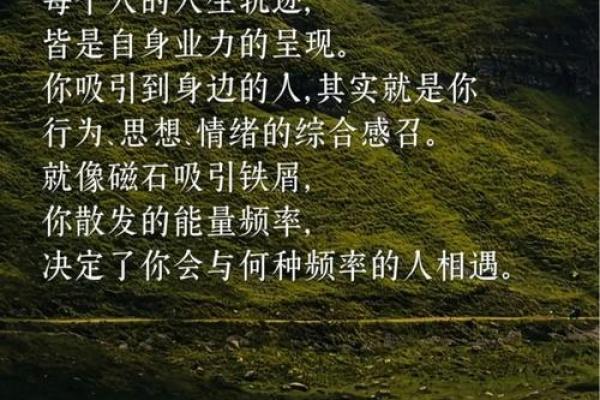 心高命不强，人生哲学的深思与启示