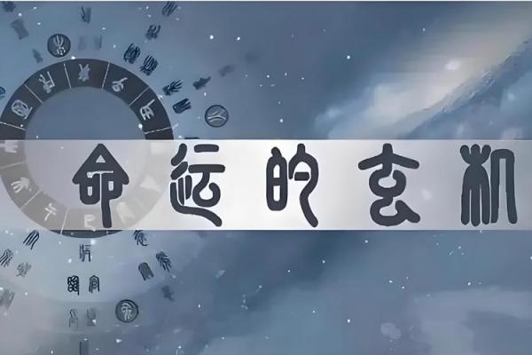 查几月几日是什么命：解读你的命运密码，掌握人生方向！
