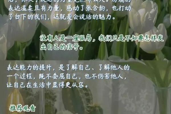 1997年9月23日出生者的命运与人生轨迹探索