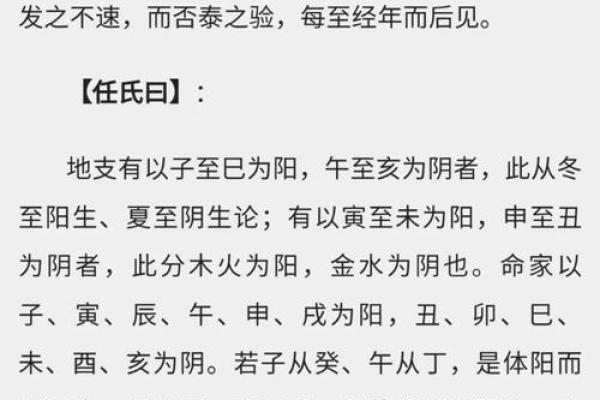巽命与震命延年：解析命理中的生命延续之道