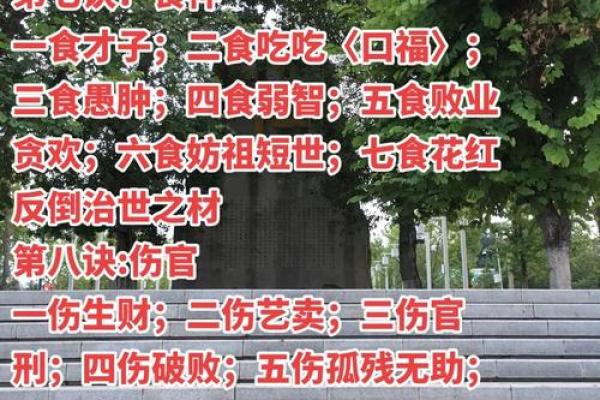 巽命与震命延年：解析命理中的生命延续之道