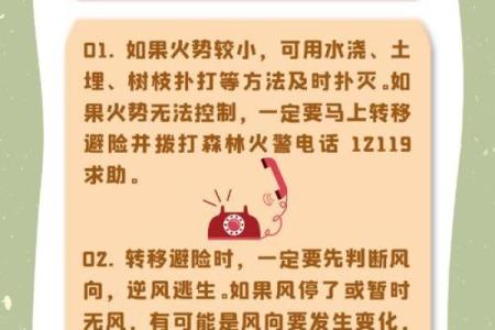 探秘山头火命：生命中的热情与坚韧之火