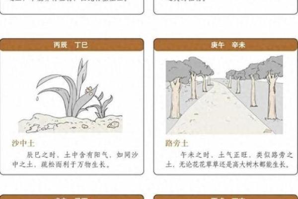 命理学中的土命解析：探寻稳重与包容的内在力量