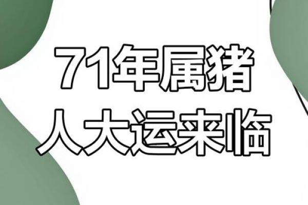 属猪山头火命的人应当注意的事项与生活智慧