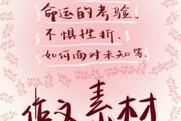 孤儿小猴子的命运：勇敢与希望的旅程