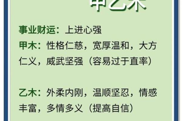 根据木命特质，哪些行业最适合发展？