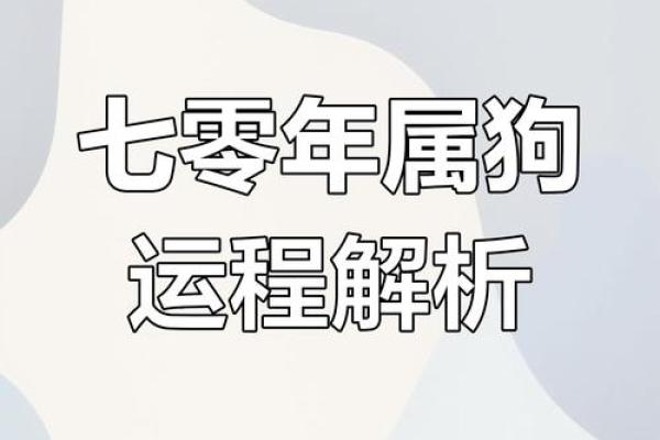 解密72年属狗的命运：藏在生肖背后的秘密与启示