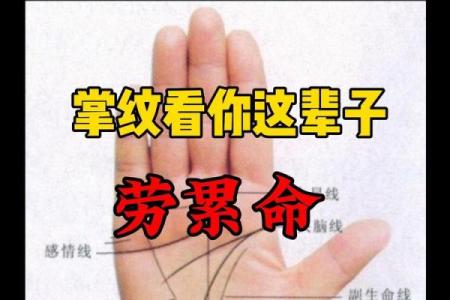 如何通过手相看出你的命运与性格