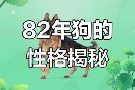 1970年出生的狗人命运解析：命运、性格与生活之道