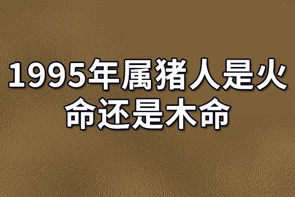 1956年出生的人：命运与运势的深刻探讨