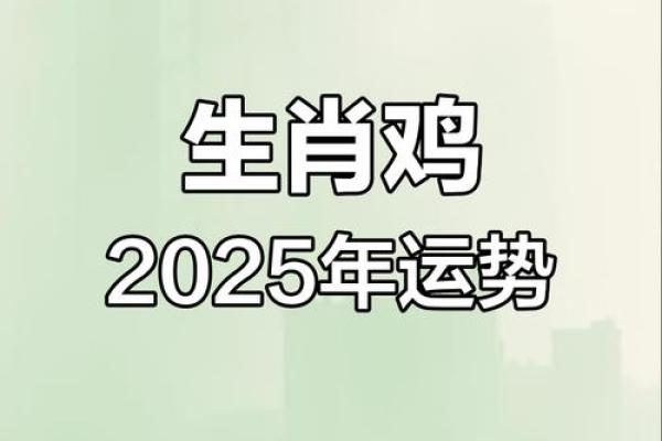 属鸡人的命运解析：智慧与韧性的结合，创造无尽可能