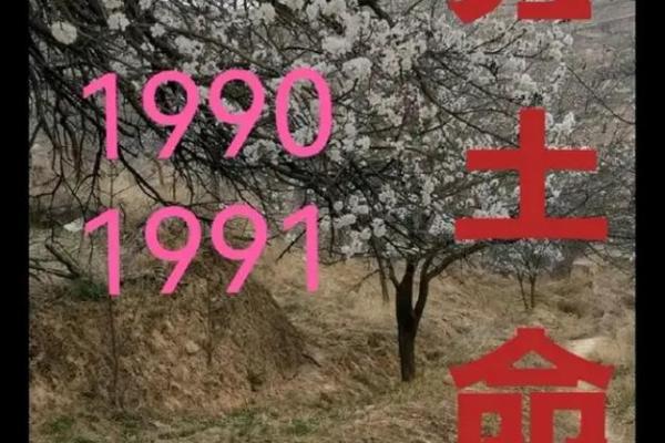 土命与大林木命的神秘区别与相遇之道