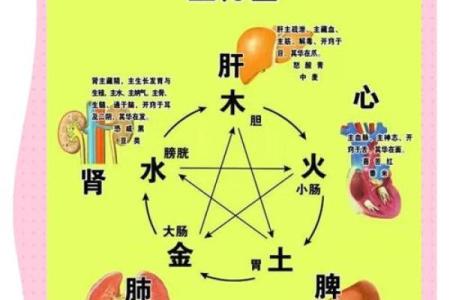 土命与大林木命的神秘区别与相遇之道