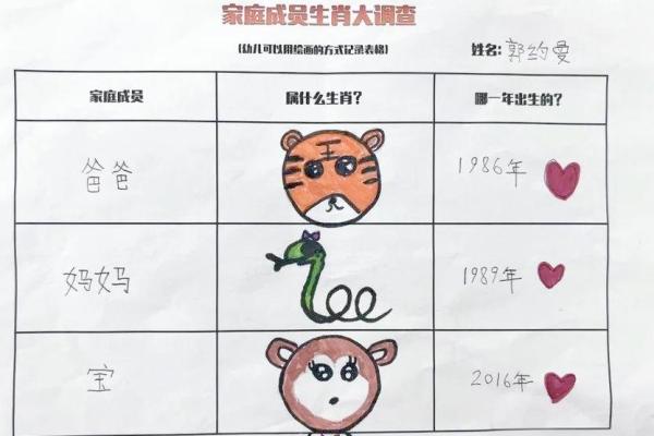 探寻11号属相：命运与性格的奥秘之旅