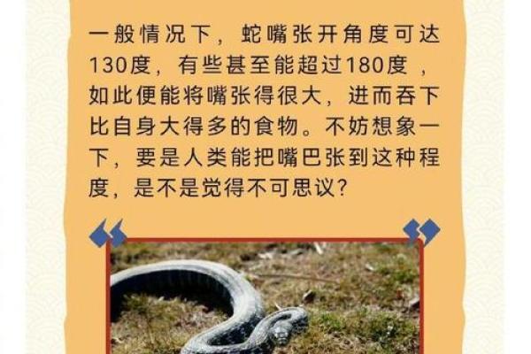 1998年出生的蛇年命有什么特别之处？探索蛇命的独特魅力与命运变化！