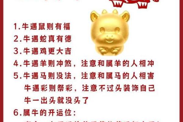 探讨木牛属相：木牛命的最佳运势与生活哲学