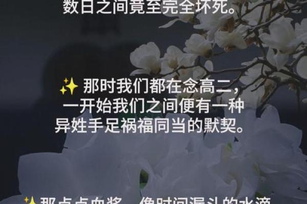 枯树的寓意：木命的象征与哲学思考