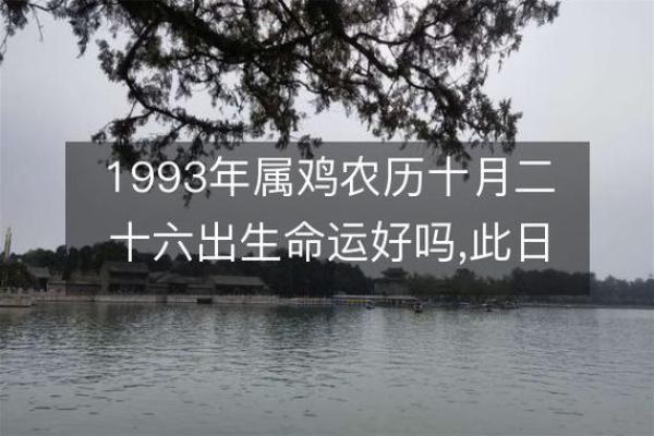 1993年阴历2月出生的人命理解析：命运与未来的启示
