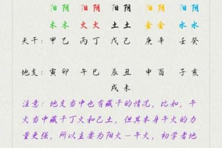 揭秘三命四命：命理中的奥秘与辩证思考