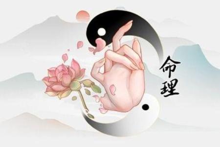 2004年出生的人命运解析：数据显示的命理真相与生活启示