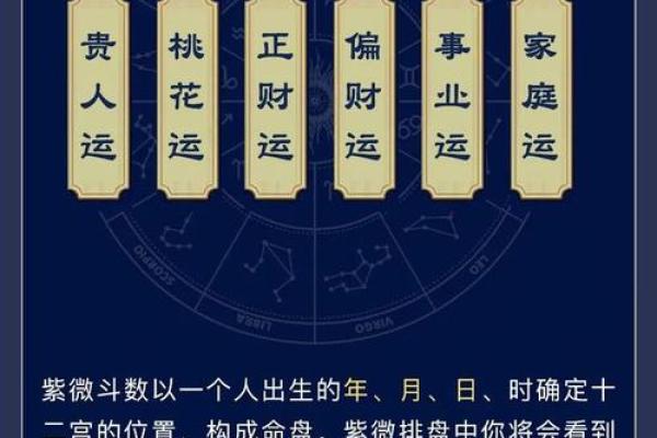 了解男人命格，揭秘最适合胖的男人命运特征