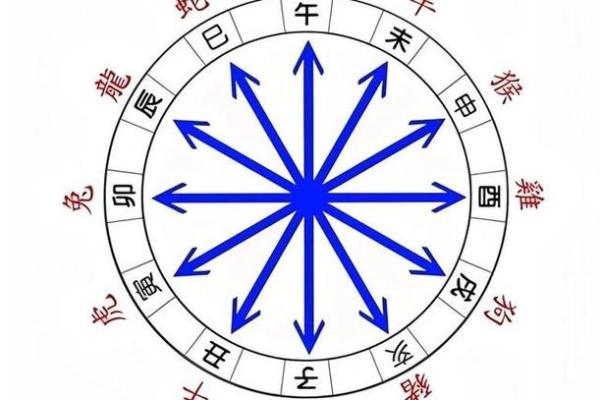 探寻乙卯年出生的人命理特征与人生轨迹