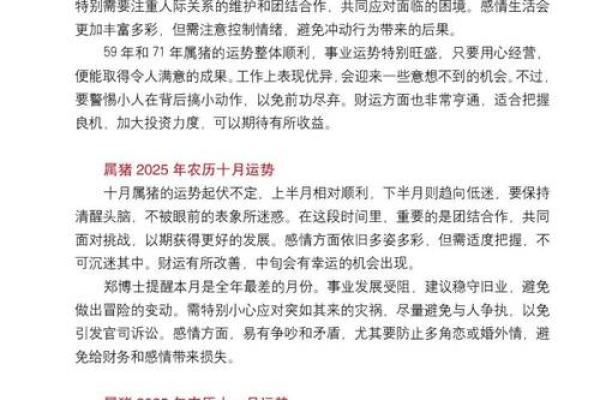 2007年属猪人的命运与五行缺失探究