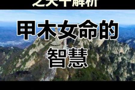 甲木命人的命格解析：命运的树木与人生的意义