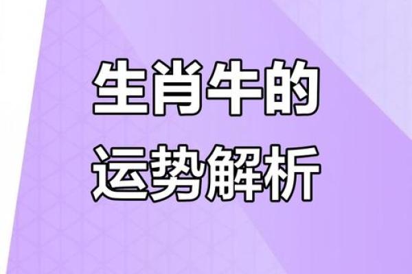 属牛女1973年命理解析：性格特征与人生运势