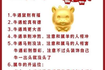 1960年出生人的生肖与命运揭秘：老鼠年中的智慧与韧性