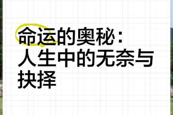 命运的轮回：探秘“命随”之意与人生的众多选择
