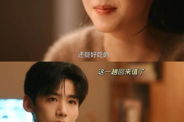 探寻遗失的温暖：无外公命背后的情感旅程