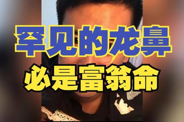 2026年：探寻龙命的神秘与魅力，揭示人生的启示与机遇