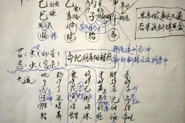 大海水命的命理分析：喜与缺之道探讨