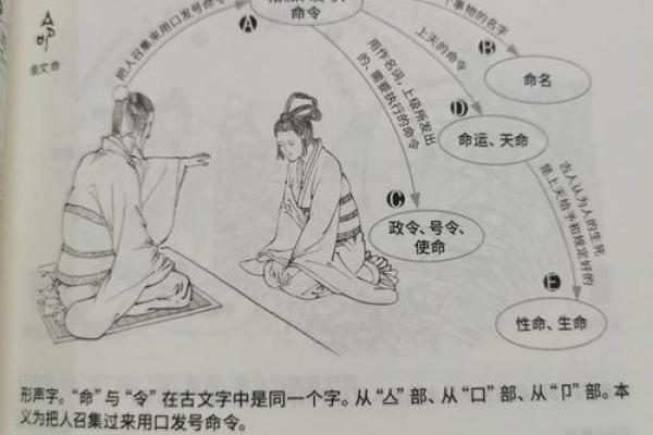 解码命运：两个人命格的奥秘与紧密联系