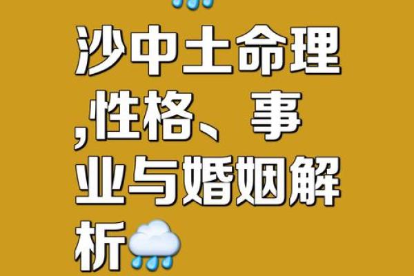 甲辰命的职场优势与适合职业探讨
