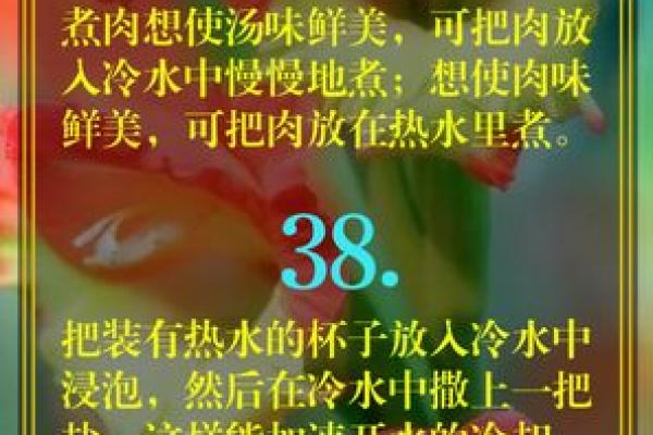 天生干燥粗糙？解析命理与生活的秘密