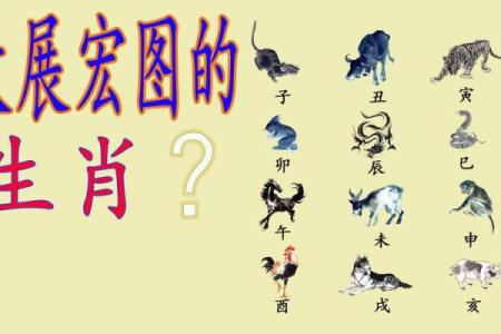 2018年命运解析：哪些生肖在这一年中大展宏图？