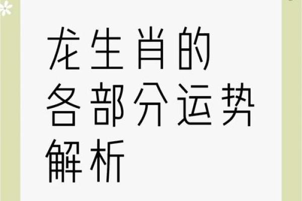 2048年属龙的命运解析：如何把握机遇与挑战