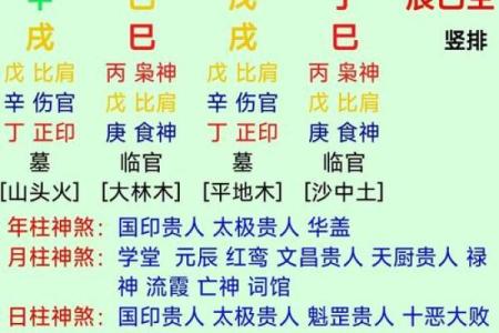 乙遇哪些地支可成富贵命？解密命理的奥秘