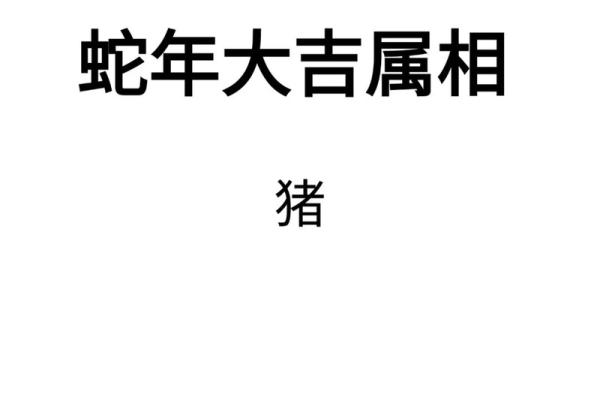 猪年出生的人：75岁的时候命理分析与生活智慧