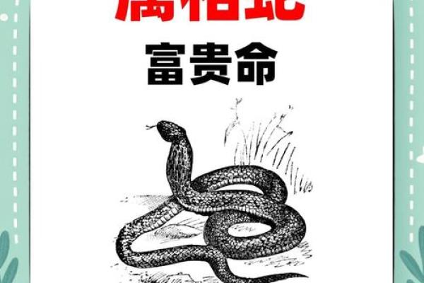 1988年属蛇的人：智慧与魅力的结合，开启精彩人生之旅！