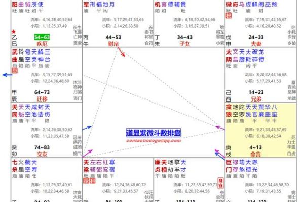 命主武曲文昌，赋予人生方向与智慧的星辰之光