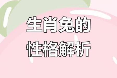 一九七五年生肖属兔，命运解析与生活指导