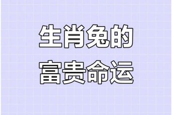 命格与生肖的关系：探索命运背后的秘密